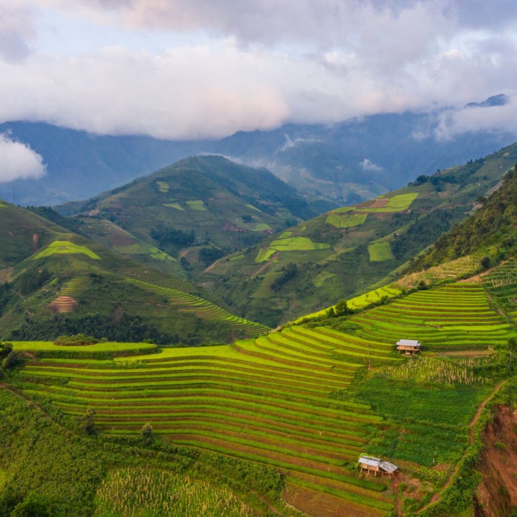 Vietnam e-Visa